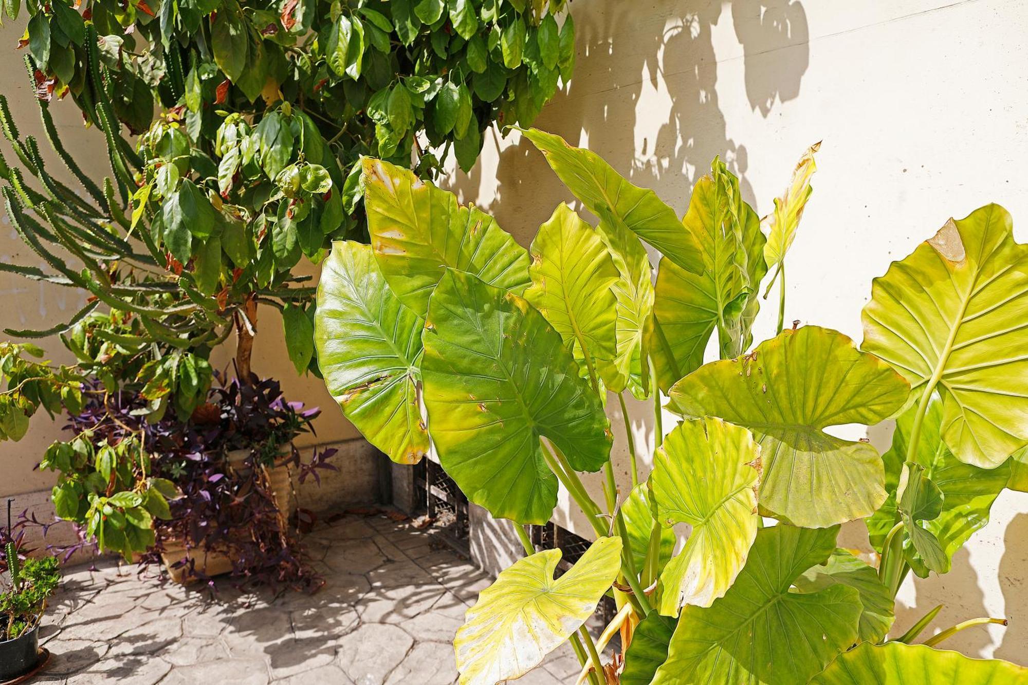 San Martino Bed & Breakfast Rome Bagian luar foto